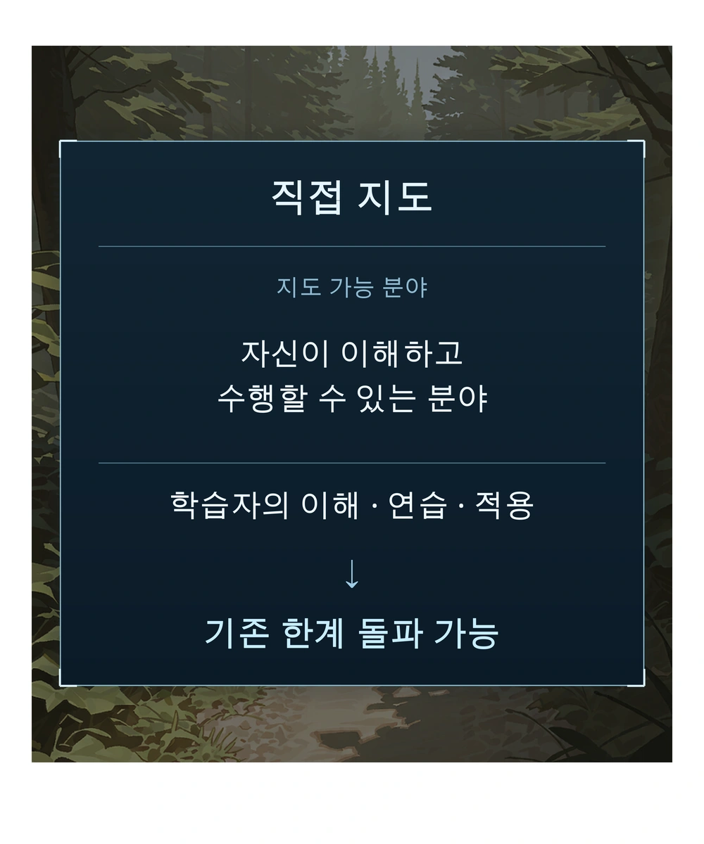 19컷. 직접 지도: 자신이 이해하고 수행할 수 있는 분야. 학습자의 이해·연습·적용을 통해 기존 한계 돌파 가능.